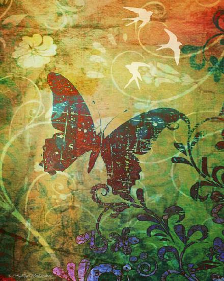 Butterfly Haiku 2014