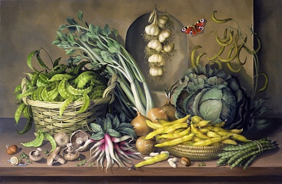Garlic and radishes and a peacock buttefly von  Amelia  Kleiser