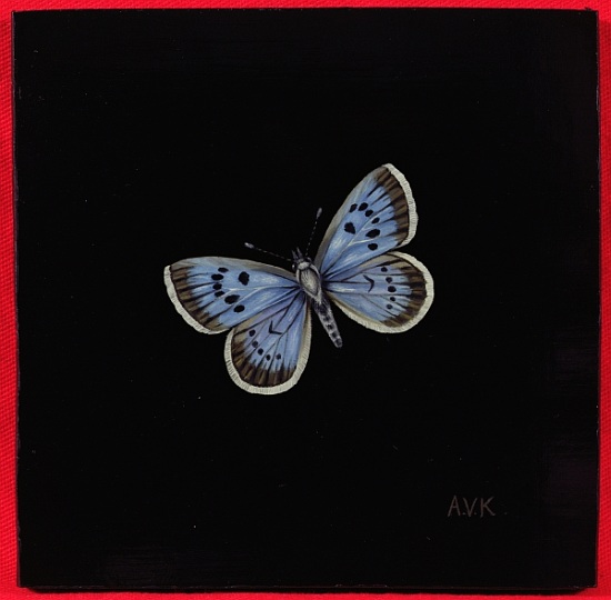 Large blue butterfly von  Amelia  Kleiser