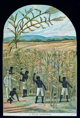 Cutting cane on a sugar plantation in America's Deep South (colour litho) 1862