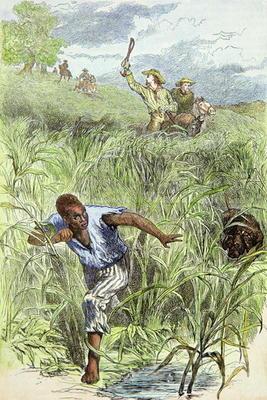 Hunting an escaped slave with dogs (coloured engraving) 0315
