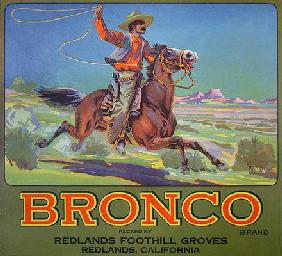 'Bronco Oranges', c.1900 (colour litho) 1385