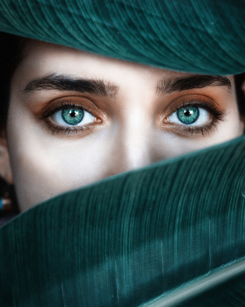 Eine einzige Farbe! (Minimale Augen) von Amir Heydari
