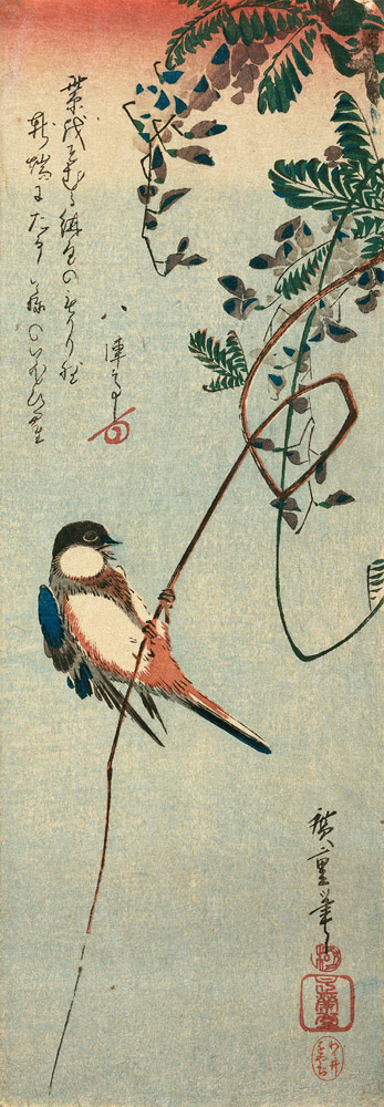 Schwalbe auf einem Ast einer Glyzinie sitzend von Ando oder Utagawa Hiroshige