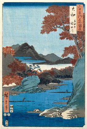 Tatsuta River, Yamato Province (woodblock print) 19th