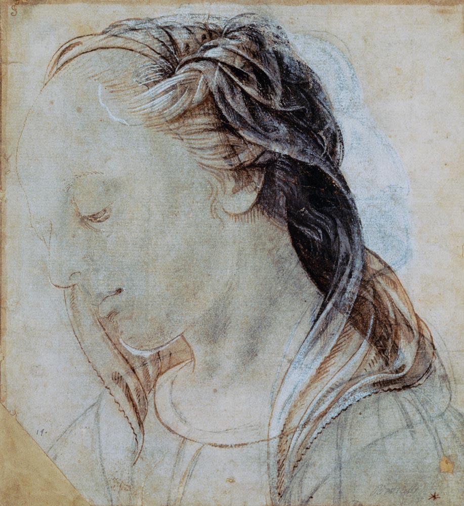 Female Head von Andrea del Verrocchio