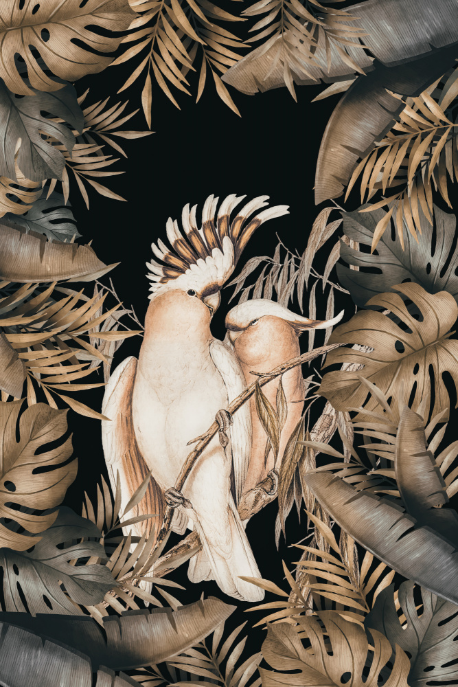 Dschungel mit Kakadus von Andrea Haase