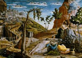 The Agony in the Garden, left hand predella panel from the Altarpiece of St. Zeno of Verona 1456-60