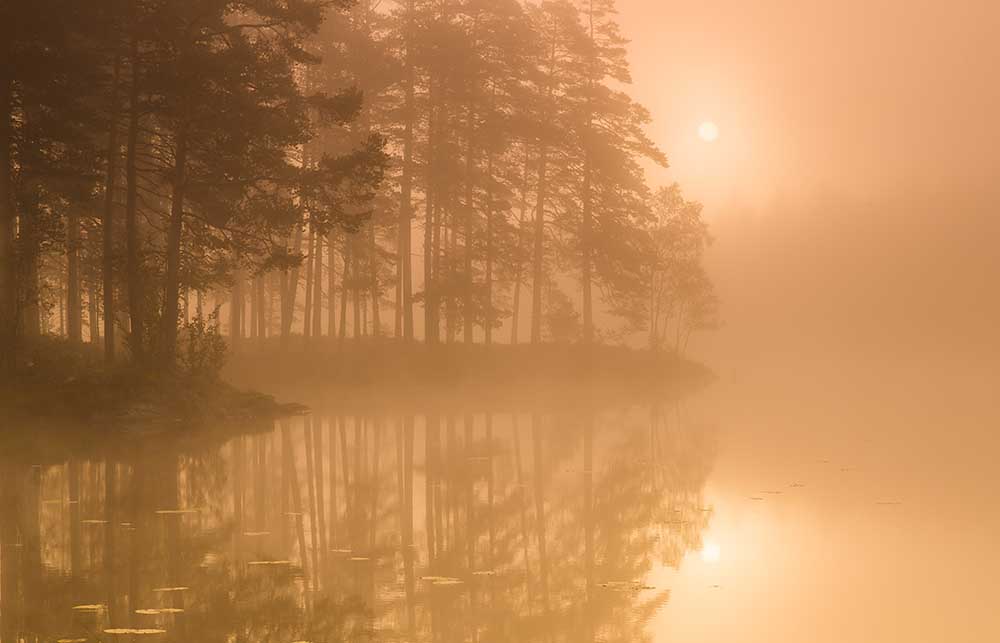 Sonne & Nebel von Andreas Christensen