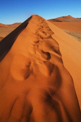 Spuren im Sand von Andreas Pollok