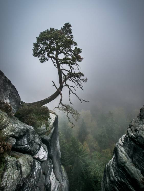 Against the Odds von Andreas Wonisch