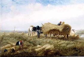 Harvesting, near Boulogne-sur-Mer