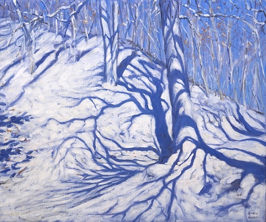 Winter Woodland, near Courcheval von Andrew  Macara