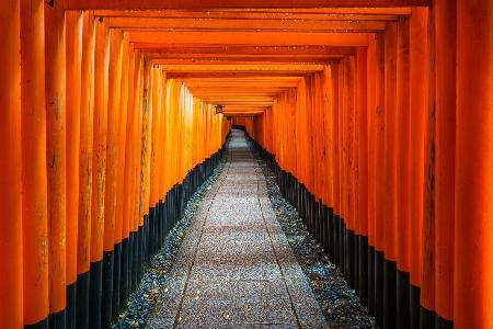 Der rote Weg des Fushimi-Inari-Tors