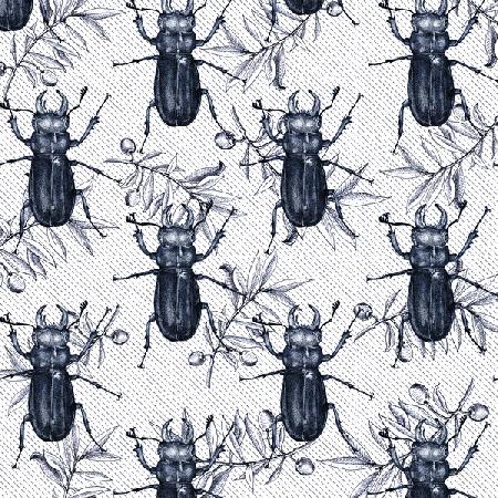 Stag Beetles 2017