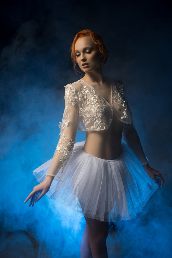 Schöne junge Ballerina im blauen Dunst von Andrey Guryanov