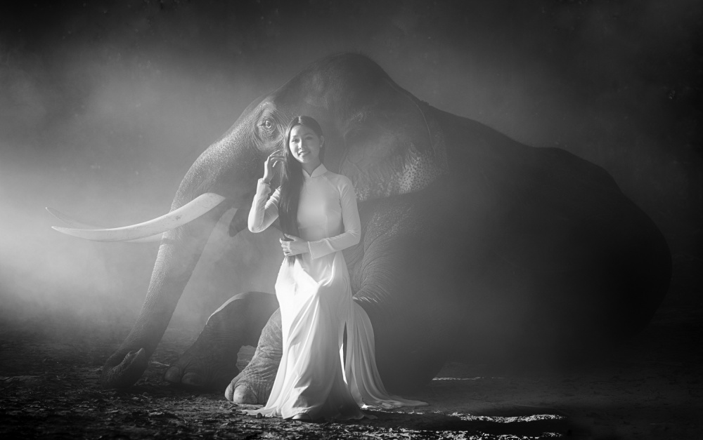 Ein Mädchen und ein Elefant von Angela Muliani Hartojo