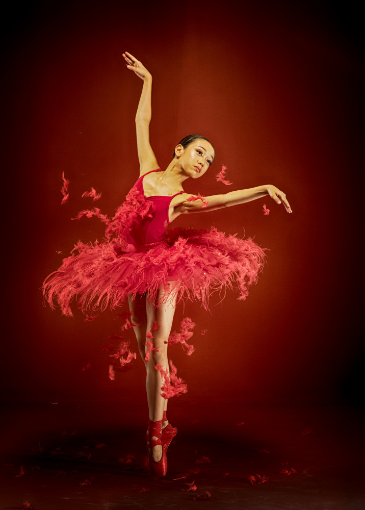 Kleine Ballerina von Angela Muliani Hartojo