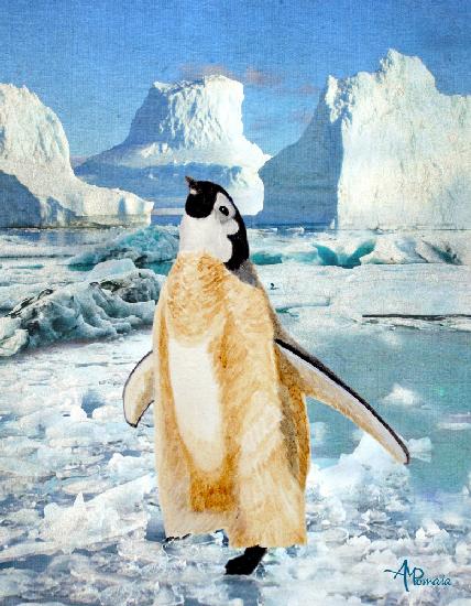 Pinguinküken in der Arktis