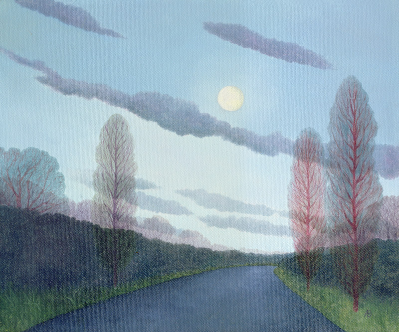 Pale Moon, 2002 (oil on canvas)  von Ann  Brain