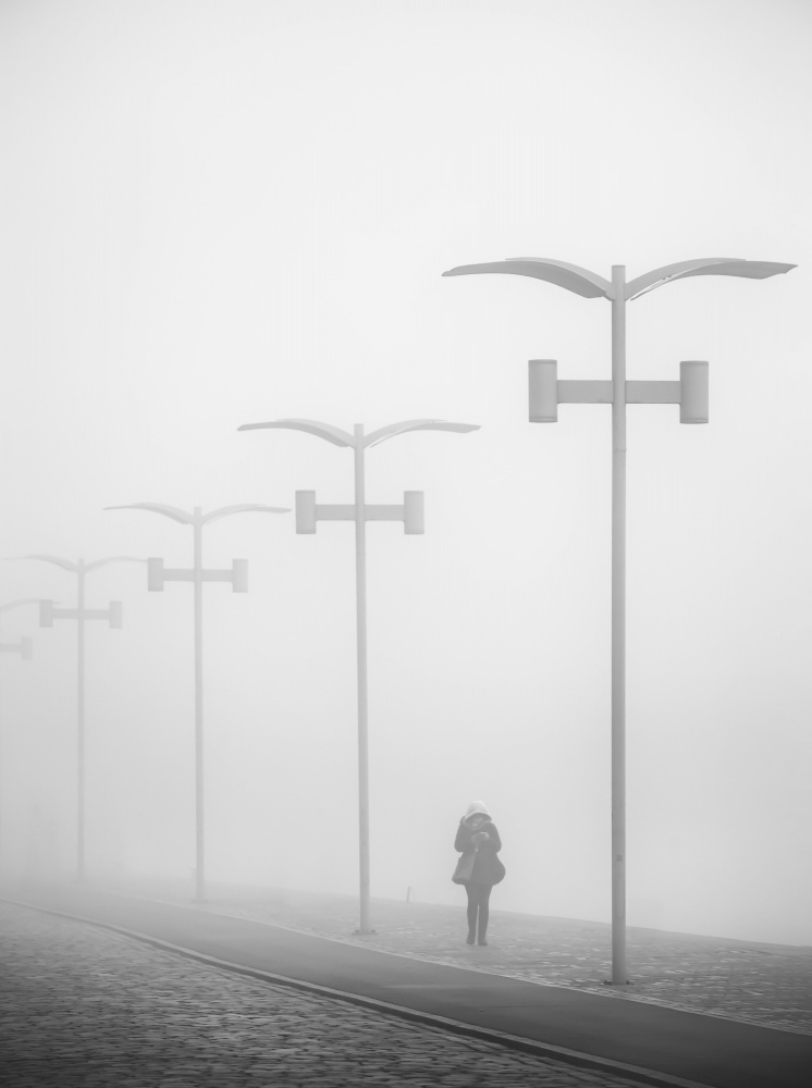 Gehen Sie im Nebel. von Anna Niemiec
