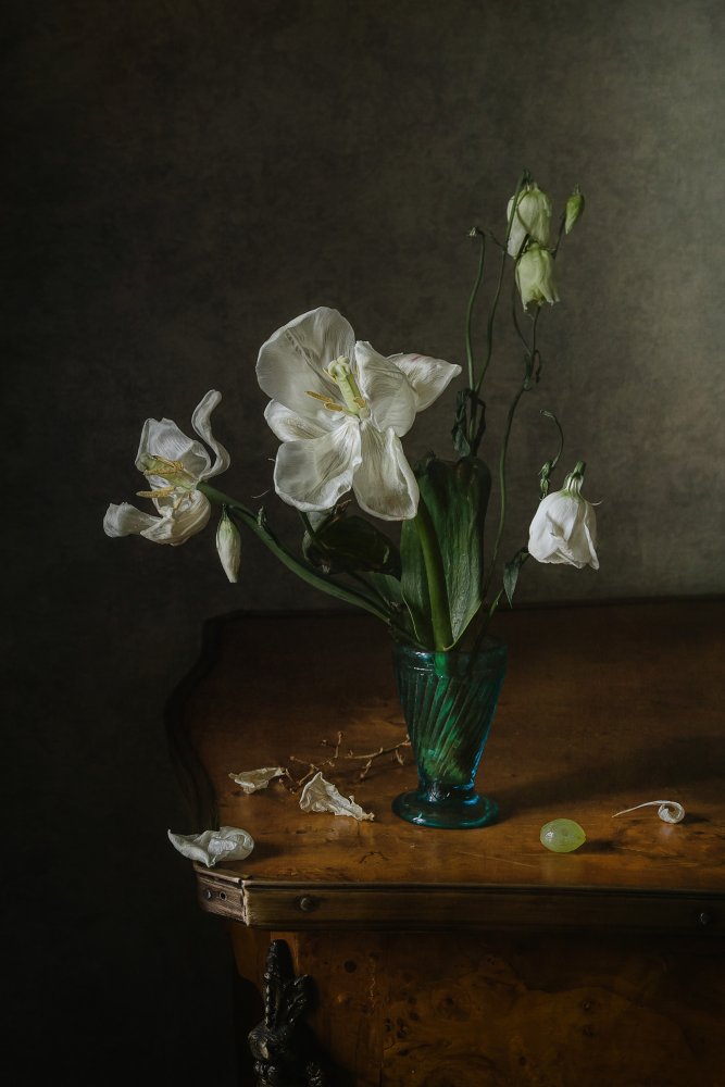 Weiße Blütenblätter von Anna Petina