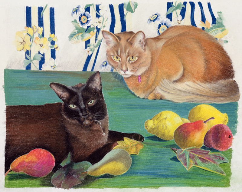 Cats with fruit von Anne  Robinson