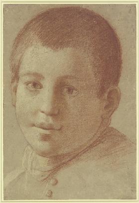 Bildnis eines Jungen