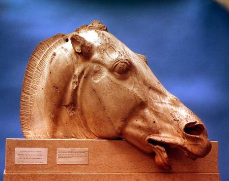 Head of one of the horses of Selene, goddess of the moon,from the east pediment of the Parthenon von Anonymous