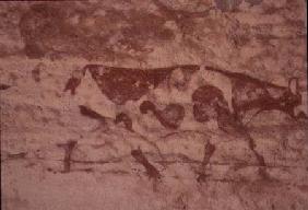 Rock painting of a cow from Jabbaren in the Tassili N'Ajjer near DjanetAlgeria 7th-1st ce