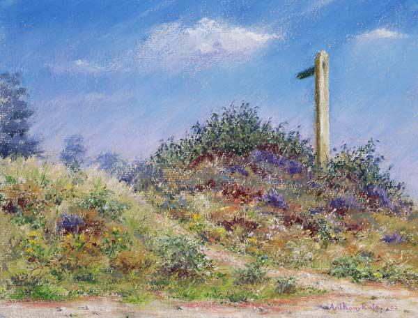 Public Footpath, 2002 (pastel on paper) 