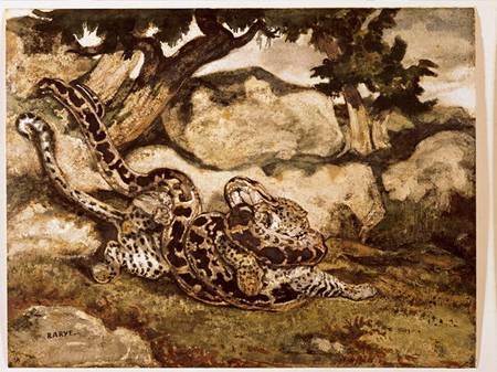 A Python Killing a Tiger (w/c & gouache on paper) von Antoine Louis Barye