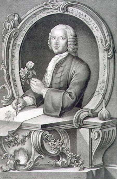 Portrait of Georg Dionysius Ehret (1710-70) engraved by Johann Jakob Haid (1704-67) von Anton Heckel