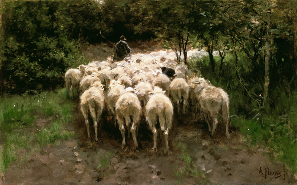 Schafe im Wald von Anton Mauve