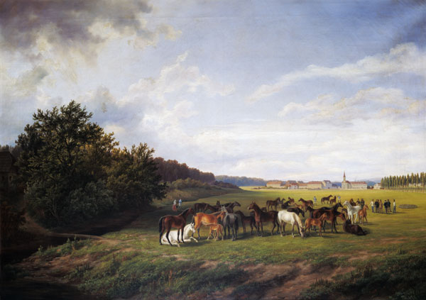 View of the Kladrub Studfarm in Bohemia von Anton Schiffer