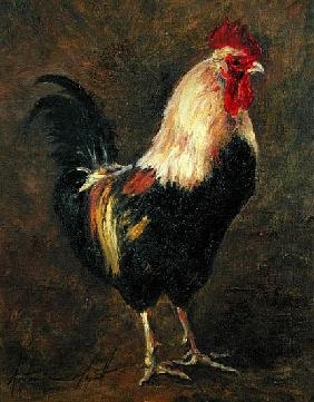 The Cockerel, 1999 (oil on canvas) 
