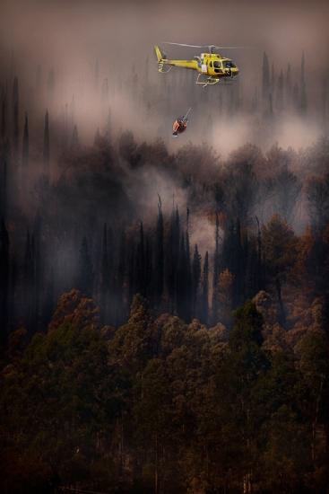 Feuer im Nationalpark Cilento – Italien