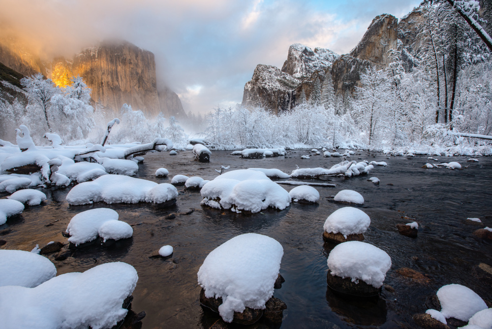 Neuschnee im Yosemite von April Xie