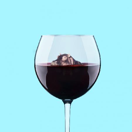 Tauchen Sie ein in den Wein