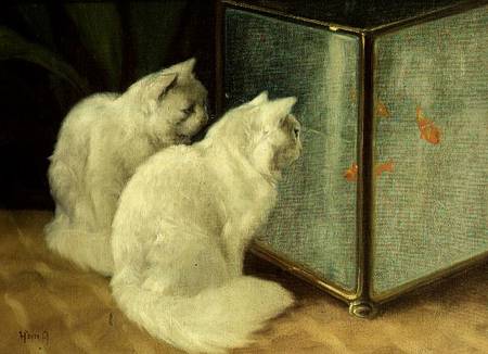 White Cats Watching Goldfish von Arthur Heyer