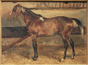 Cheval brun à l’écurie 1818