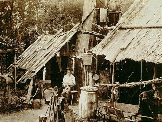 Australian prospector, c.1880s (sepia photo) von Australian School, (19th century)
