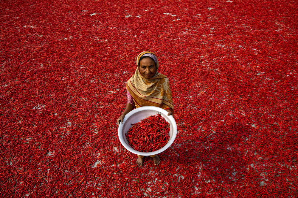 Roter Chili-Arbeiter von Azim Khan Ronnie