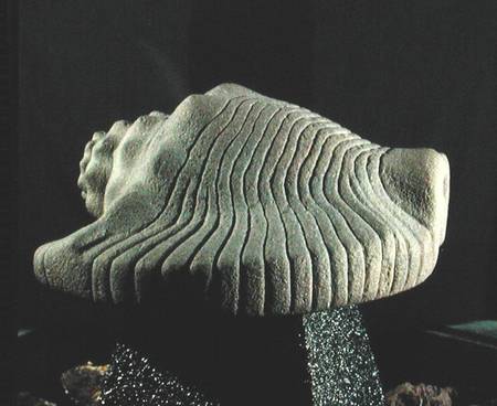 Sea Snail Shell von Aztec