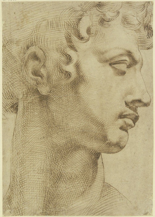 Studie nach dem Kopf von Michelangelos "Giuliano de Medici" von Baccio Bandinelli