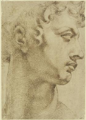 Studie nach dem Kopf von Michelangelos "Giuliano de Medici"