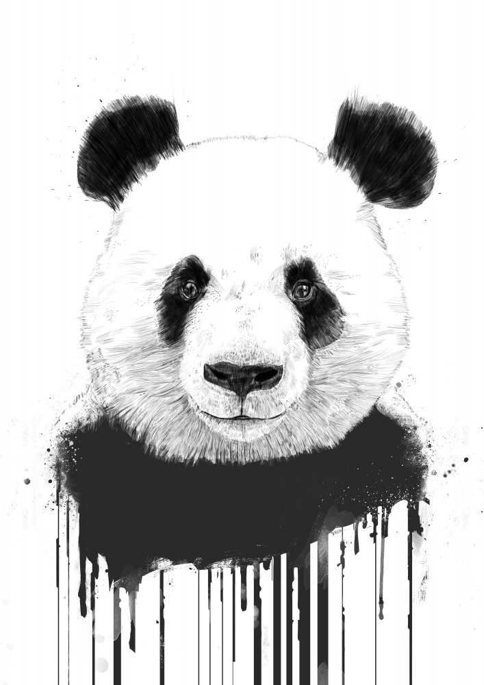 Graffiti-Panda von Balazs Solti