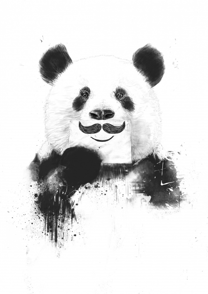 Lustiger Panda von Balazs Solti