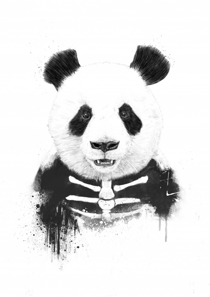 Zombie-Panda von Balazs Solti