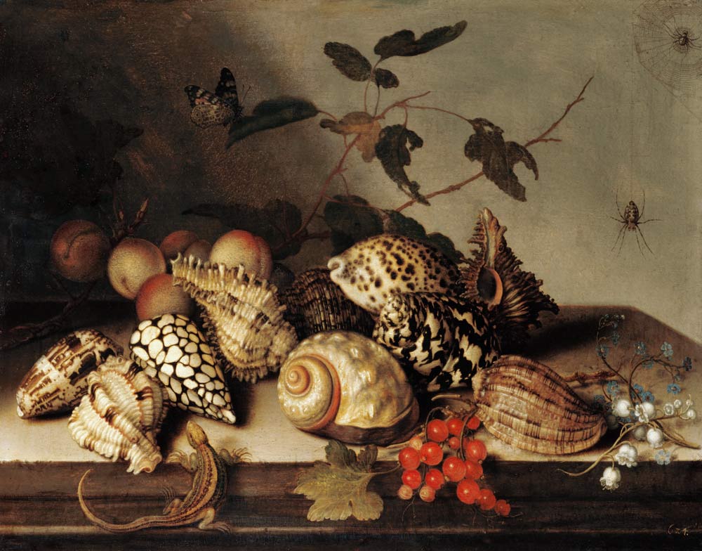 Muscheln und Früchte von Balthasar van der Ast